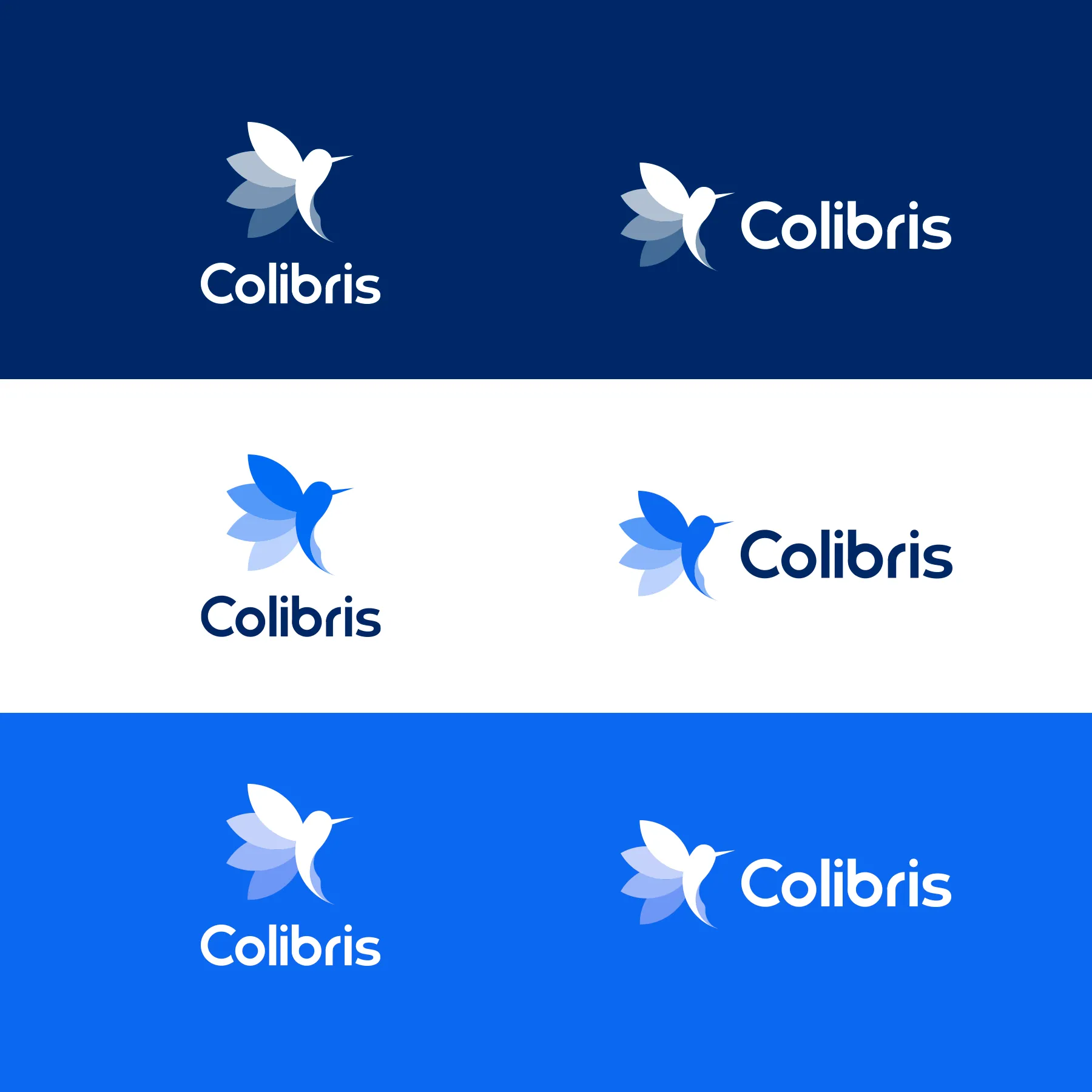 Colibris Logo Variations image