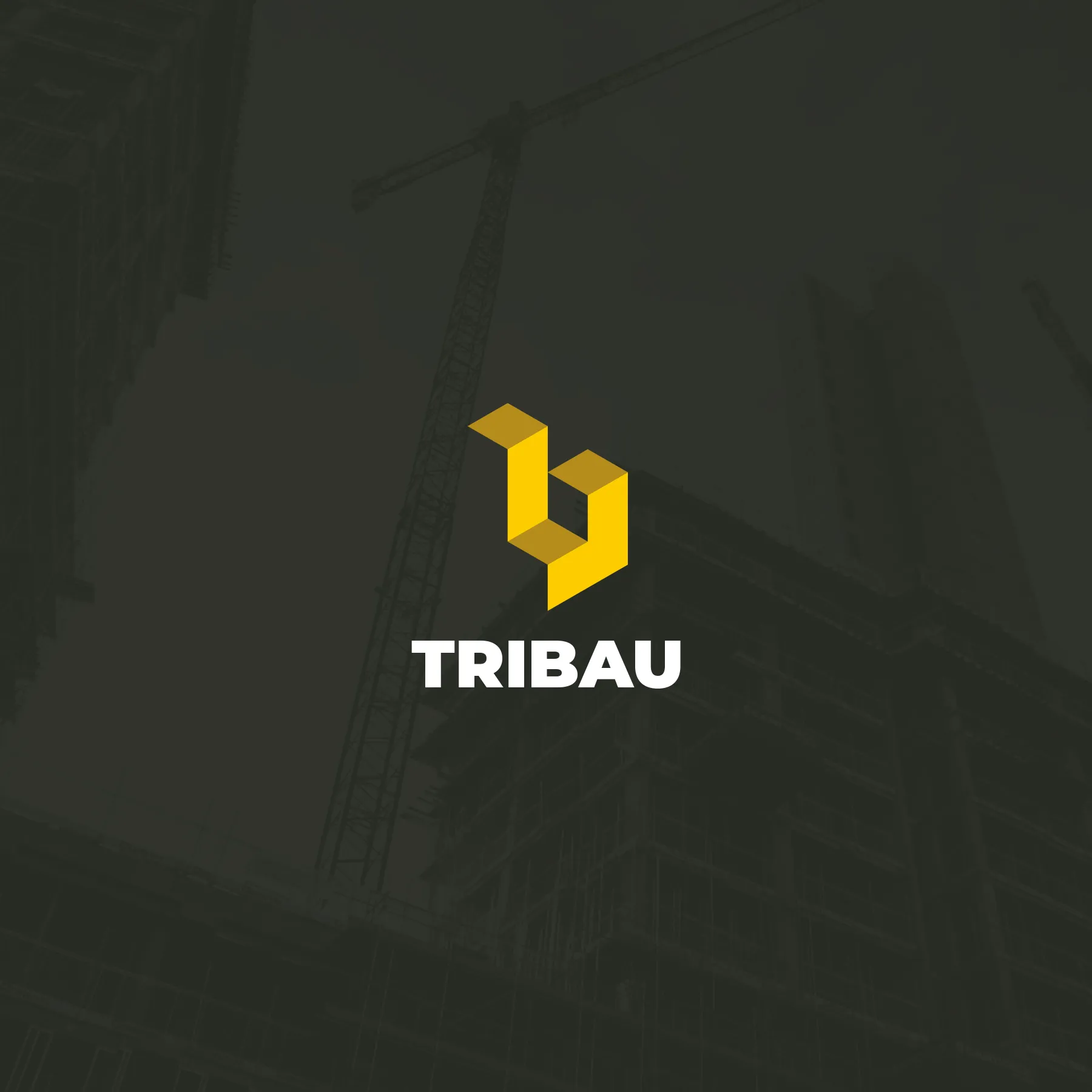 Tribau Branding logo image